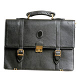 Deluxe Portfolio Bags