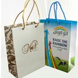 Promotional Paper Bag