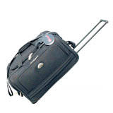 Travel Bag with strolley